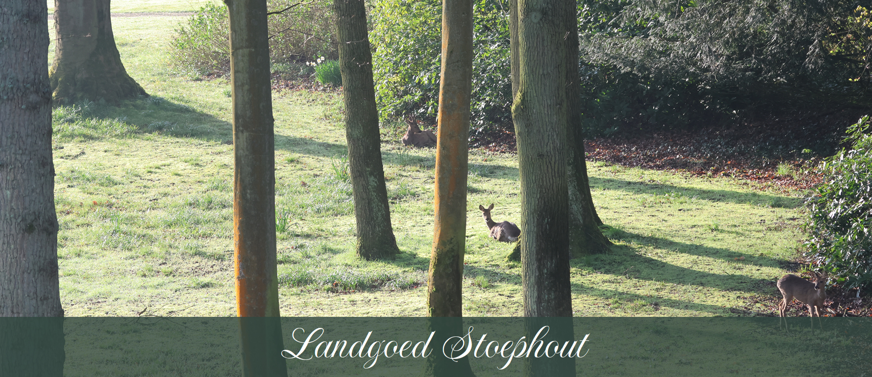 Landgoed Stoephout
