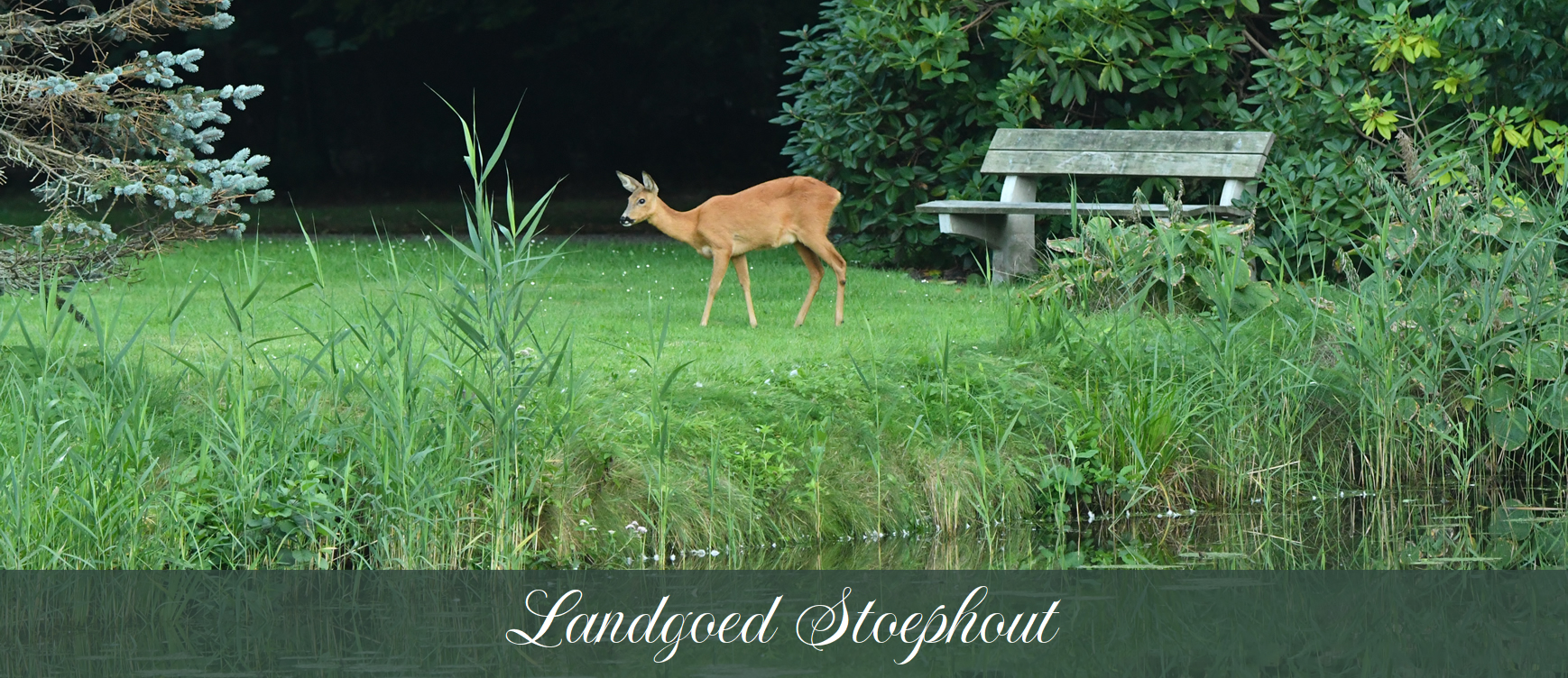 Landgoed Stoephout